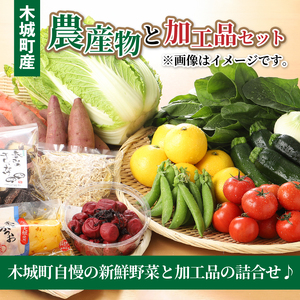 木城町産農産物と加工品セット_K04_0001_3