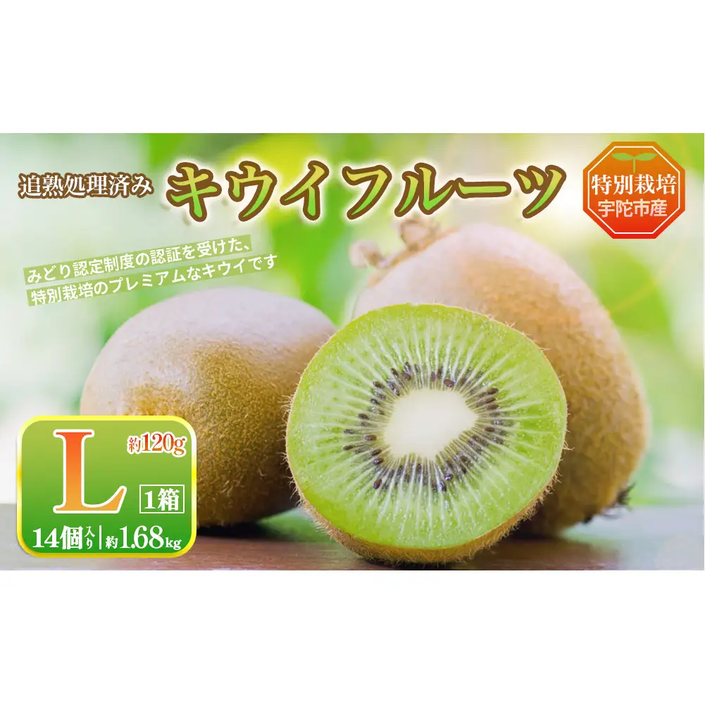 ＜2026年12月～3月順次発送＞プレミアム キウイ フルーツ Lサイズ 14個入 追熟処理済 ／ ふるさと納税 キウイ キウイフルーツ ギフト 栄養 果物 お土産 化学肥料不使用 特別栽培 塩 奈良県 宇陀市 やまとファームJAPAN