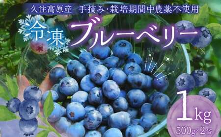 久住高原 冷凍 ブルーベリー 500g 2袋 計1kg 【2025年7月下旬より順次発送開始予定】