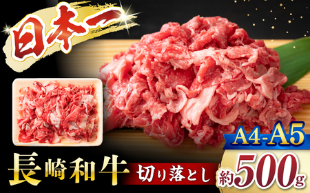 長崎和牛 牛肉切り落とし 500g 牛肉切り落とし CFT003
