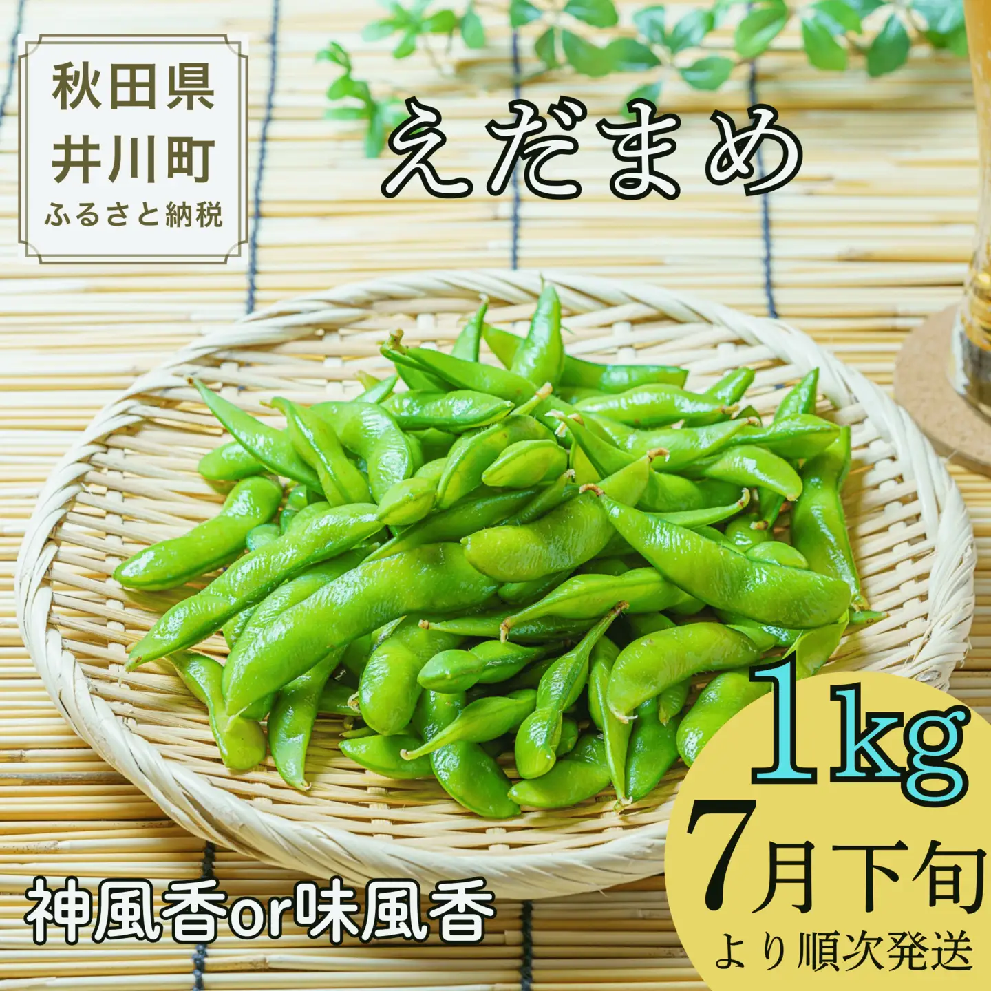 【令和8年産先行受付】枝豆１kg　秋田県井川町産　※７月下旬以降順次発送