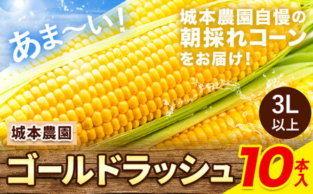 とうもろこし 10本 とうもろこし 城本農園 
