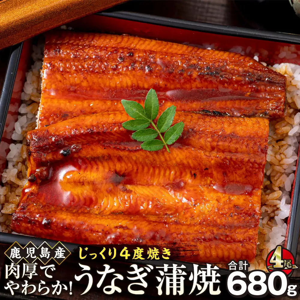 うなぎ 蒲焼 170g×4尾【鹿児島産】地下水で育てた絶品鰻｜うなぎ