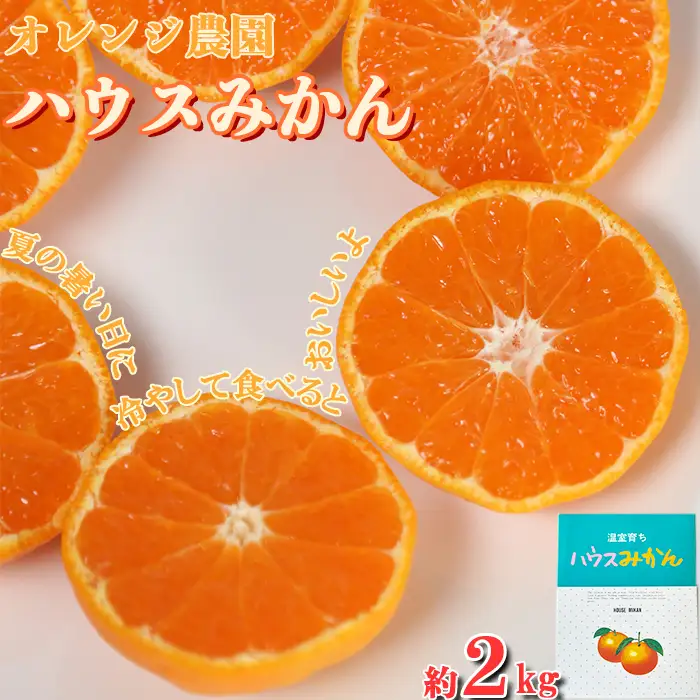 【期間限定発送】ハウスみかん 約2kg 専用箱 入り【オレンジ農園】2026年 7月 8月 夏 発送 甘い 果物 フルーツ ギフト 柑橘 温州 みかん 先行予約 数量限定 期間限定 九州 ＜114-002＞