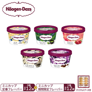 パーティーセット／ハーゲンダッツ