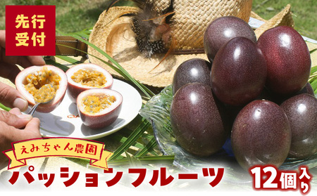 【 2026年 先行予約 】 えみちゃん農園 パッションフルーツ （ 12個入り ） C008-010 果物 フルーツ