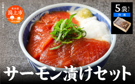 サーモン漬け丼セット 60g×5袋 計300g 訳アリ 訳あり 簡易包装 冷凍 時短 簡単調理 お手軽 小分け パック 個包装 一人暮らし 海鮮丼 海鮮 鮭 季節 魚 漬け 丼 魚介 おすすめ 送料無料 【西村魚屋】