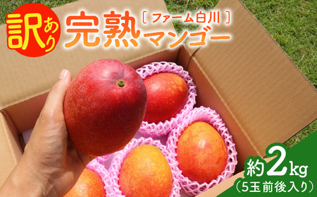 【 2026年 先行予約 】 ファーム白川 の 完熟 マンゴー 訳あり 2kg C032-001 果物 フルーツ