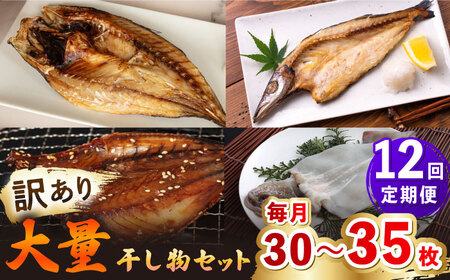 【全12回定期便】【訳あり】 干物 セット [JAQ023] ひもの