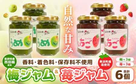 【先行予約】【福井県産】フルーツを使った 梅＆苺のジャム 計6個セット (梅ジャム3個 苺ジャム3個) 着色料・保存料不使用！ 【2026年6月下旬以降順次発送予定】[m03-a049]
