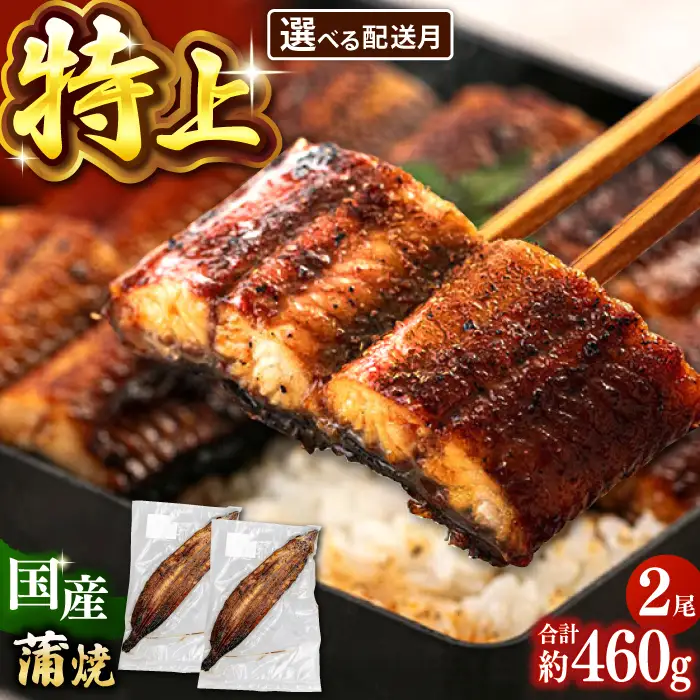 鹿児島産特上うなぎの蒲焼き 2尾 [ADAH008]うなぎの蒲焼き