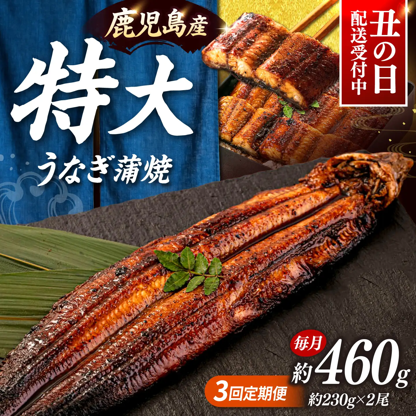全3回定期便 特大！ 鹿児島産うなぎ 蒲焼2尾セット 桂川町/山水商事 [ADAH012] ウナギ 鰻 うなぎセット 特大鰻 定期便 特大