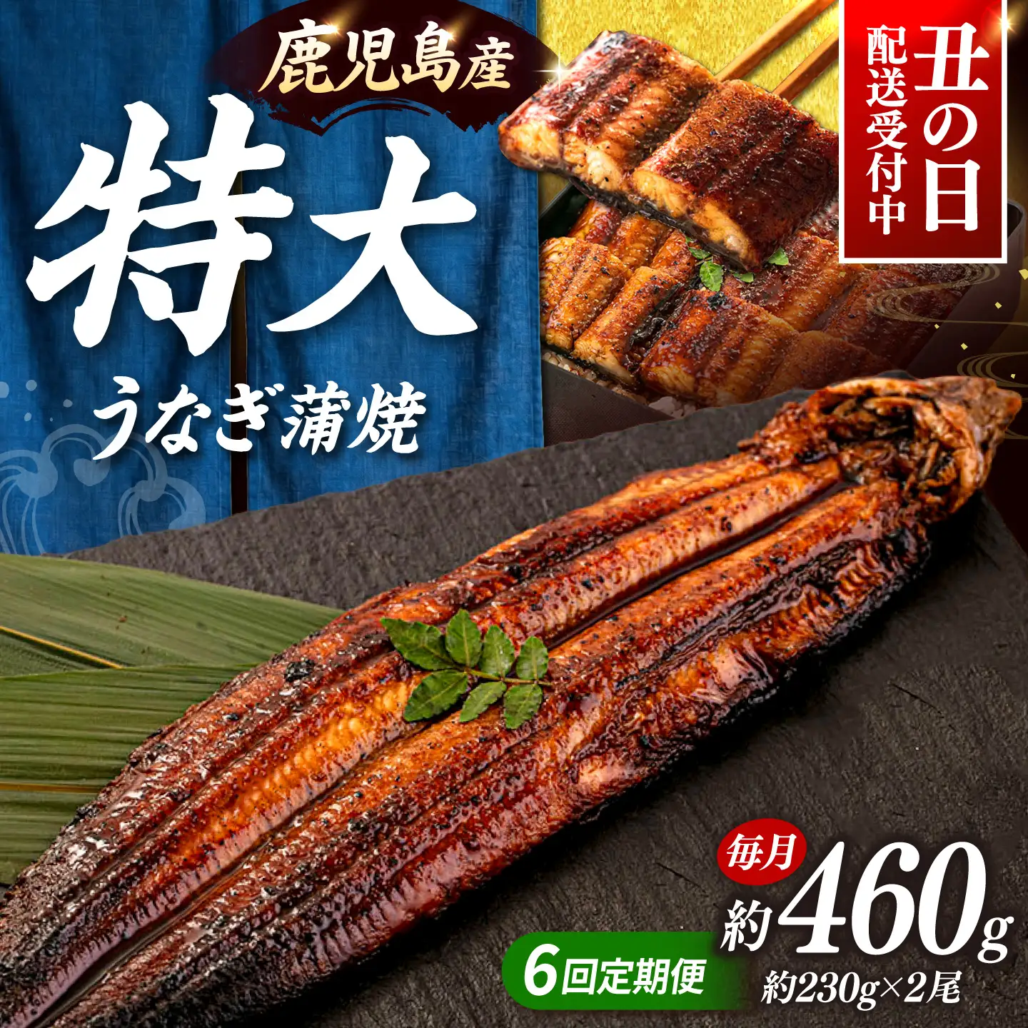 全6回定期便 特大！ 鹿児島産 うなぎ 蒲焼 2尾セット 桂川町/山水商事 [ADAH013] ウナギの蒲焼 鰻の蒲焼 うなぎの蒲焼 蒲焼セット 特大鰻 定期便