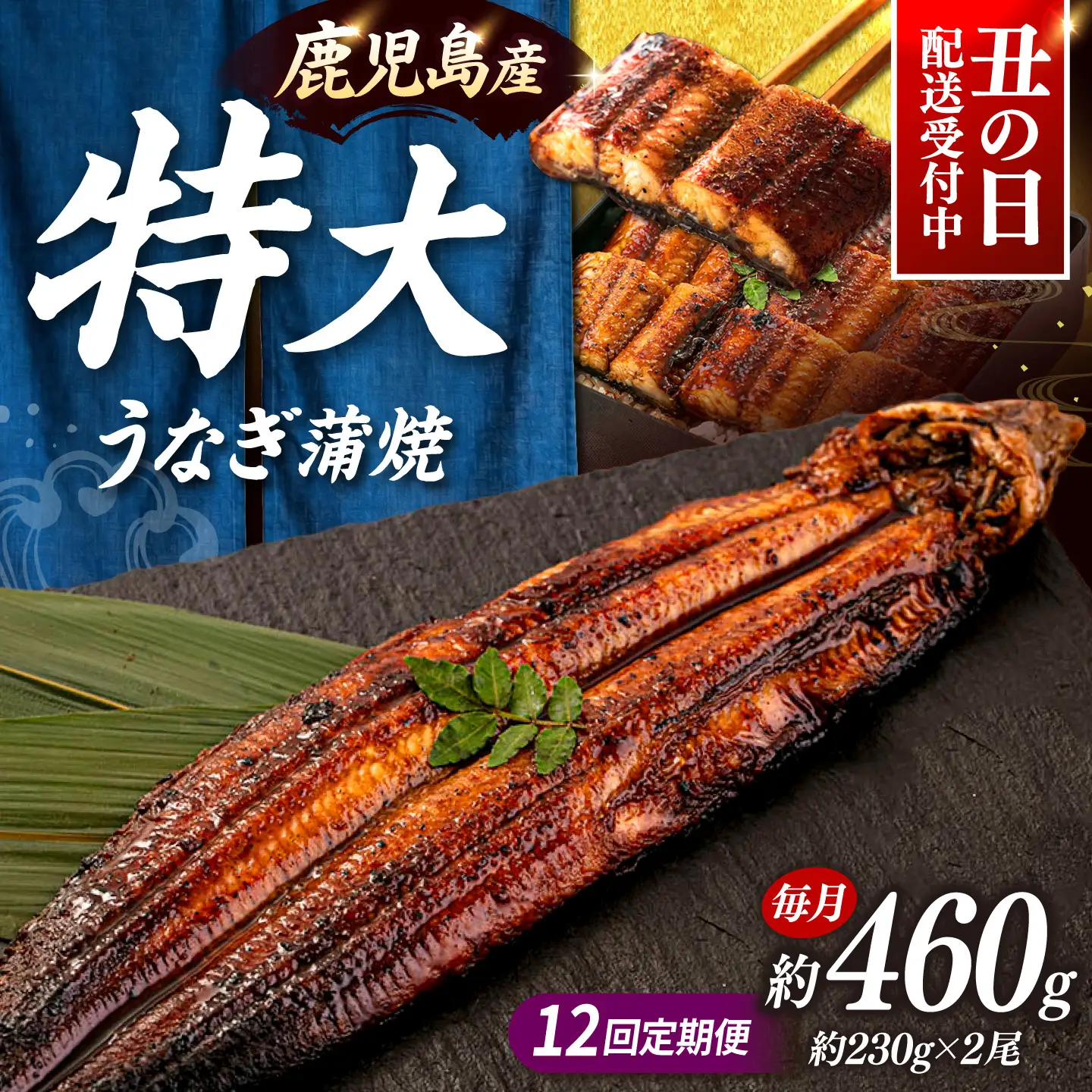 全12回定期便 特大！ 鹿児島産 うなぎ 蒲焼2尾セット 桂川町/山水商事 [ADAH014] ウナギ ウナギの蒲焼 ウナギ 国産ウナギ 定期便