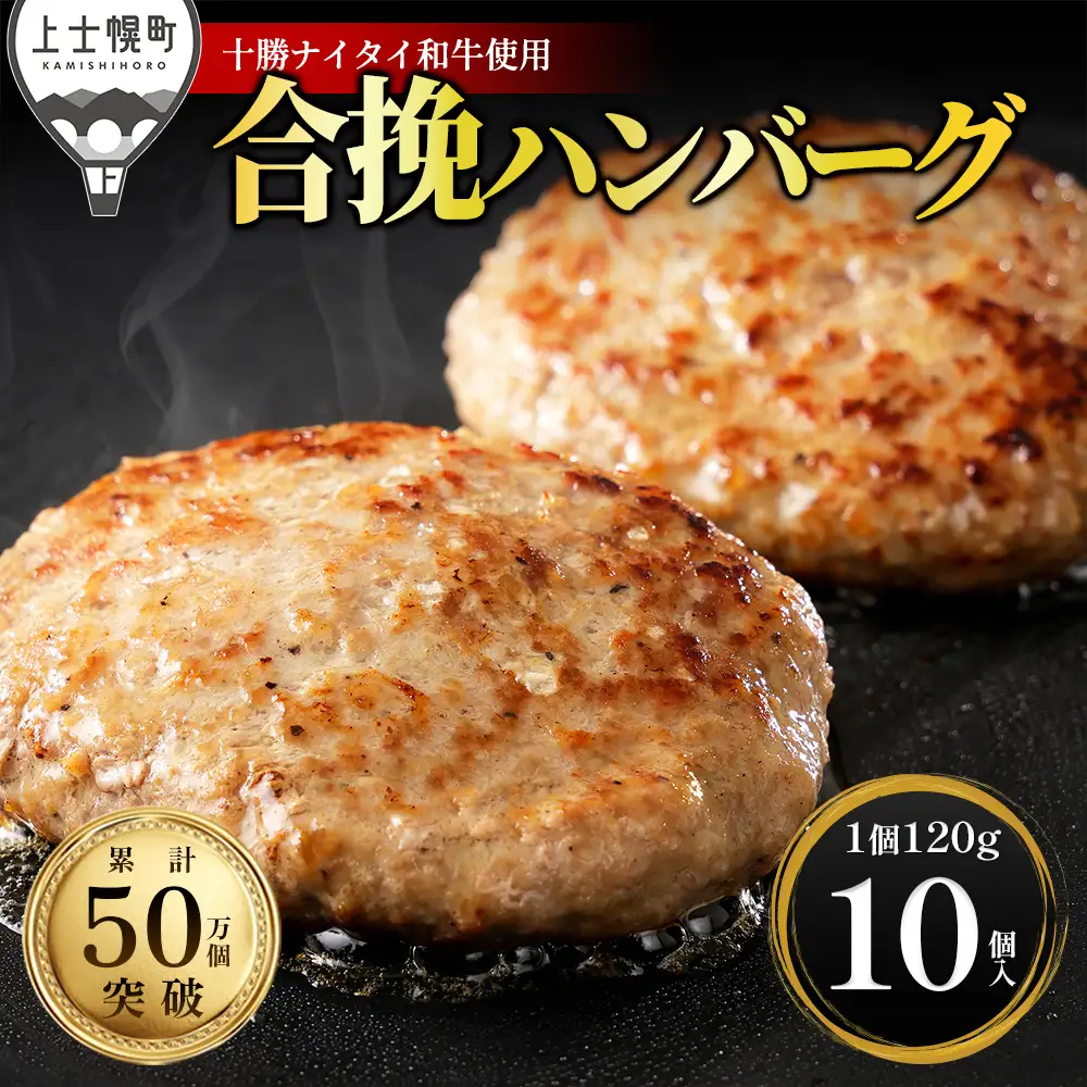 十勝ナイタイ和牛 ビーフ&ポーク ハンバーグ 120g×10個 高評価ハンバーグ 国産 北海道 牛 豚 肉 牛肉 豚肉 国産牛 国産豚 和牛 5・4等級 黒毛和牛 合い挽き 合挽 人気 お取り寄せ ギフト 冷凍ハンバーグ