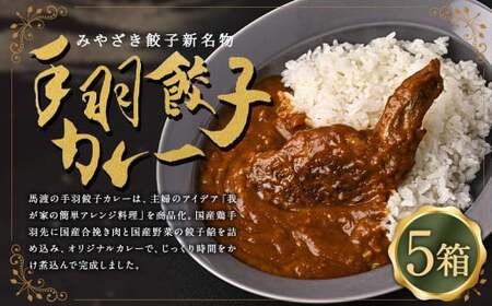 〈 みやざき餃子新名物 手羽餃子カレー 5箱 〉翌月末迄に順次出荷 カレー 餃子 ギョウザ ギョーザ 手羽餃子 レトルト 常温保存 餃子の馬渡【c1260_mw】
