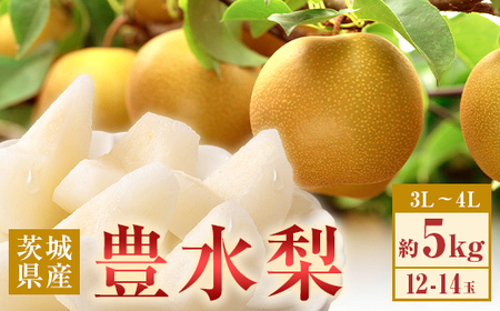 350 豊水梨 約5kg 12～14玉 3L～4L 梨 なし 【先行予約 2026年 8月下旬ころより順次発送予定】