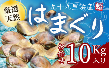 九十九里浜産活天然はまぐりサイズお任せ10kg入り SMBB004