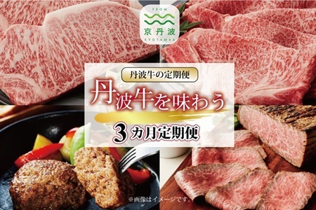 【3回定期便】丹波牛を味わう定期便 【牛肉定期便】  [091IZ001R]