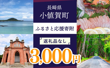 【返礼品なし】長崎県町 ふるさと応援寄附金（3,000円分） [DYZ002]