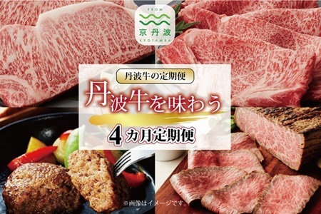 【4回定期便】丹波牛を味わう定期便【牛肉定期便】 [099IZ001R]