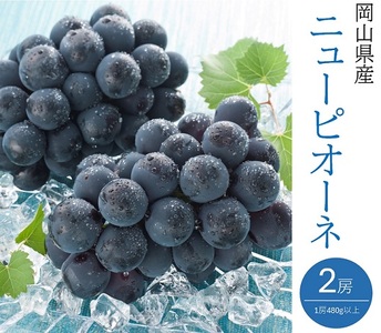 ニューピオーネ 2房(1房480g以上)【2026年8月下旬～10月上旬発送予定】