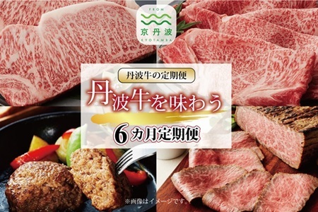 【6回定期便】丹波牛を味わう定期便 【牛肉定期便】  [168IZ001R]