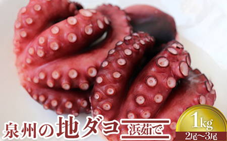 泉州の地ダコ1kg(2尾～3尾) | たこ たこ [0530]
