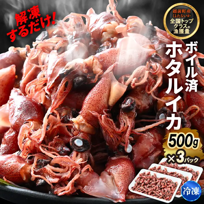 解凍するだけ ! 越前町産 ボイル済 ホタルイカ 計1.5kg（500g × 3P） 急速凍結 冷凍 ほたるいか 全国トップクラスの漁獲量【茹で ボイル 日本海 いか イカ 烏賊 福井県 魚介 海鮮 惣菜 さかな おつまみ 酒の肴 お取り寄せ グルメ 宅飲み 小分け 日常使い】 [e15-a054]