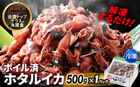 【解凍だけ】 越前町産 ボイル済 ホタルイカ 500g 急速凍結 冷凍 ほたるいか 全国トップクラス漁獲量【 日本海 福井県 海鮮 惣菜 6000円以下】 [e15-a052]