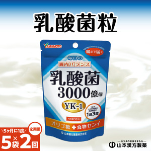 ＜5ヶ月に1度、2回送付定期便＞乳酸菌粒[027Y25-T]