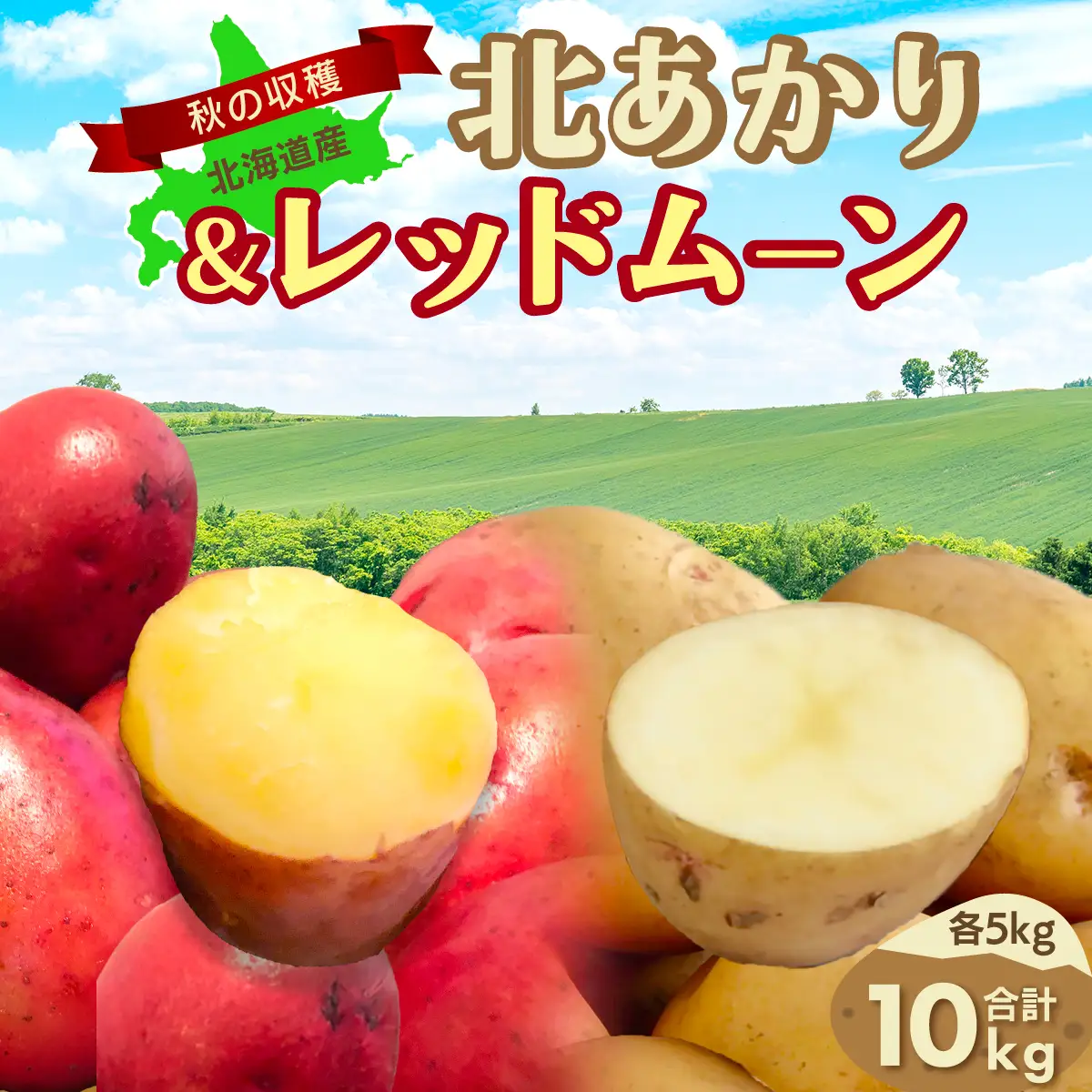 【先行予約】秋の収穫北あかり、レッドムーン合計10kg（2026年9月15日以降発送） ABAO085