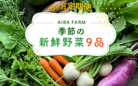 【6ヶ月 定期便】【栽培期間中農薬不使用】農家直送！「９品」季節の新鮮野菜詰め合わせセット AIBA FARM TML003 / 野菜セット 無農薬 野菜 千葉県 富里市 直送野菜 お野菜セット 旬野菜 季節野菜 農家直送 採れたて とれたて やさい 詰め合わせ セット ヤサイ  旬の野菜 季節の野菜 産地直送 詰め合わせ おまかせ 新鮮  農薬不使用 野菜 