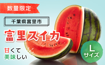【数量限定】富里スイカ(Lサイズ6～7kg)1玉  すいか スイカ 西瓜 千葉県 富里市 果物 フルーツ 採れたて とれたて 産地直送 農家直送 千葉県産 ちば 千葉すいか 千葉スイカ 富里 富里すいか 富里スイカ 甘い あまい 美味しい おいしい 大玉 大玉すいか 大玉スイカ TMF005 