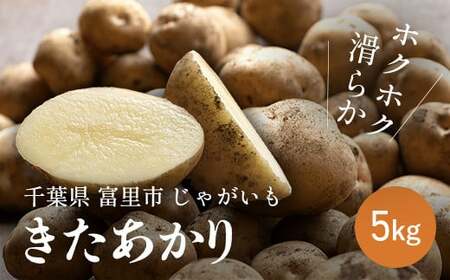 【2026年5月上旬より順次配送】じゃがいも「きたあかり」5kg【 ふるさと納税 人気 おすすめ ランキング きたあかり じゃがいも ジャガイモ 芋 採れたて 産地直送 千葉県 富里市 送料無料 】TME009