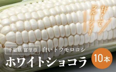 【2026年6月下旬より順次配送】富里産 白いトウモロコシ「ホワイトショコラ」10本【 ふるさと納税 人気 おすすめ ランキング ホワイトショコラ トウモロコシ 白いトウモロコシ 採れたて 産地直送 千葉県 富里市 送料無料 】TME010
