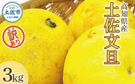 【先行予約】【訳あり】土佐文旦（ぶんたん）家庭用（M～5L）約3kg 〈2027年2月中旬～発送〉 文旦 3キロ 土佐文旦発祥の地 産地直送 約4～10玉 大玉 ぶんたん 訳あり【株式会社とさもん】 [BQAE043]