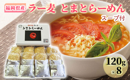 ラーメン 福岡県産 ラー麦 とまとらーめん 1ケース 麺 