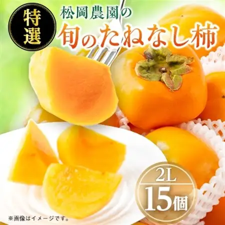 【2026年秋より順次発送】旬のたねなし柿　特選2Lサイズ(15個入り)_果物・フルーツ 柿（カキ）  かき_【配送不可地域：離島・北海道・沖縄県】【1512962】