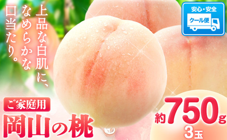 岡山の桃 約750g 　白桃