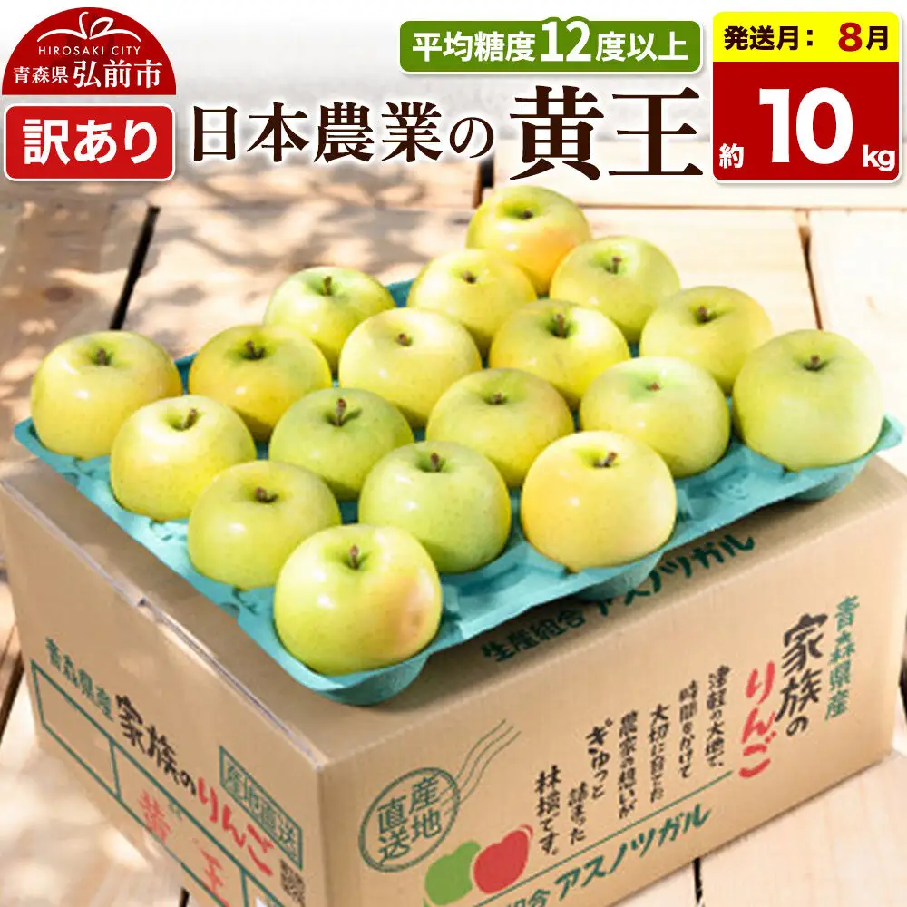 【26年8月クール便発送】りんご 黄王【訳あり】約10kg 平均糖度12度以上 青森県産 果物 フルーツ 林檎 リンゴ くだもの 不揃い 規格外