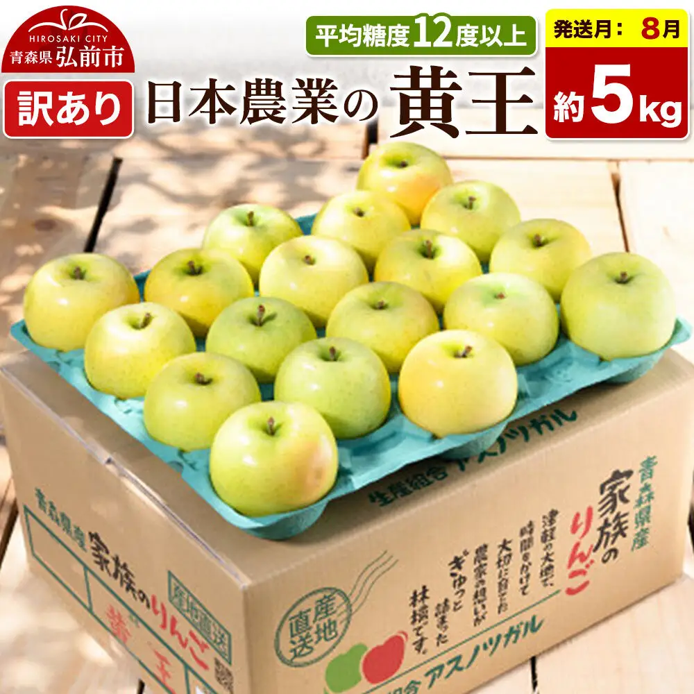 【26年8月クール便発送】りんご 黄王【訳あり】約5kg 平均糖度12度以上 青森県産 果物 フルーツ 林檎 リンゴ くだもの 不揃い 規格外