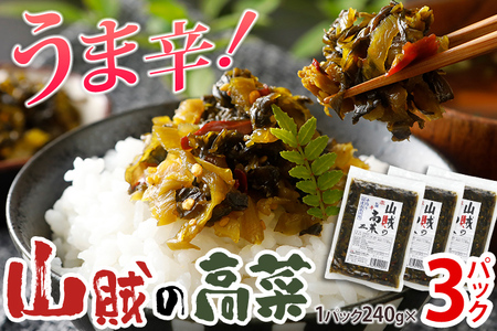 辛子高菜 240g×3パック（720g） 山賊の高菜