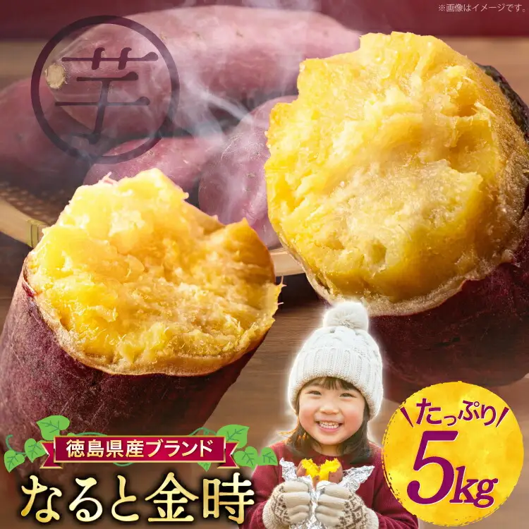 【大人気！】 さつまいも なると金時 5kg [北島町役場 徳島県 北島町 29bb0001]