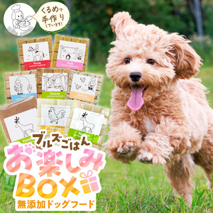 ペットフード 無添加ドッグフード・ブルズごはんお楽しみBOX_無添加ドッグフード 詰合せセット ブルズごはんお楽しみBOX CUBE型 5袋×300g（20個入、馬肉・豚肉・鹿肉・鶏肉・魚が各1袋) 鹿テリーヌ(80g)×3パック ボーンブロススープ(300g)×2パック（各20個入） 国産 手作り アレルギー ウェット 子犬 シニア犬 冷凍 ヒューマングレード 老犬 小型犬 お試し 選べる ペットフード 〔Pf009〕