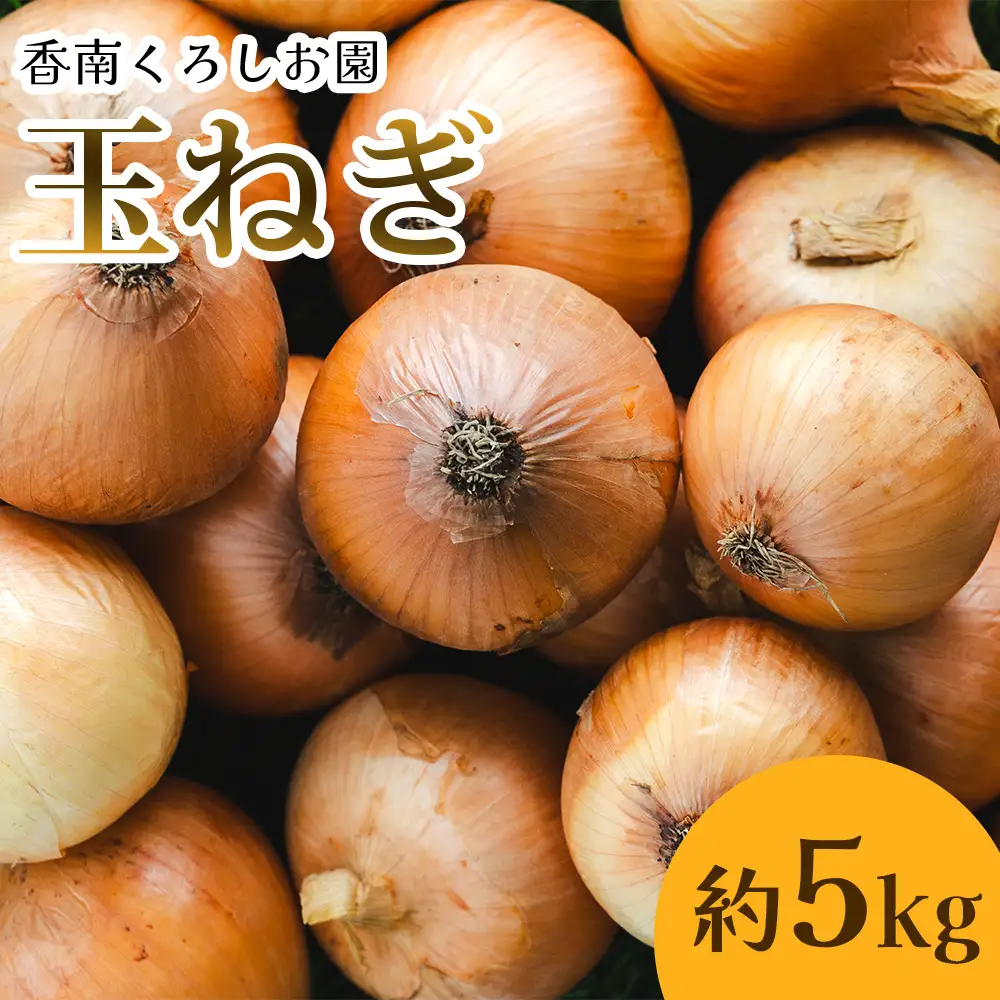 玉ねぎ 5kg 先行予約 【玉ねぎ 玉葱 タマネギ 玉ねぎ 高知県 たまねぎ 玉ねぎ 玉ねぎ 玉ねぎ 玉ねぎ 玉ねぎ】 ke-0036