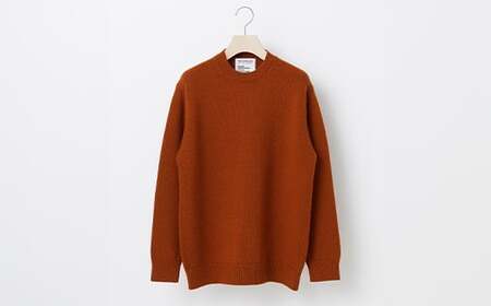 ≪先行予約≫【THISISASWEATER.】A1 : A SWEATER IS ORDINARY BROWN ブラウン カシミヤセーター 服 洋服 ユニセックス メンズ レディース ブランド 数量限定 山形県 山辺町 サイズ4 yt-soxxb4
