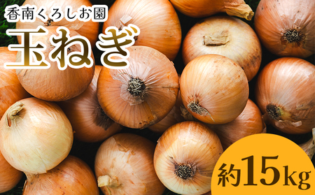 玉ねぎ 15kg 家庭用 野菜 高知 大小混合 - 香南市産 国産 たまねぎ タマネギ 玉葱 野菜 オニオンスープ ハンバーグ 常備野菜 保存野菜 香南くろしお園 高知県 香南市 ke-0039