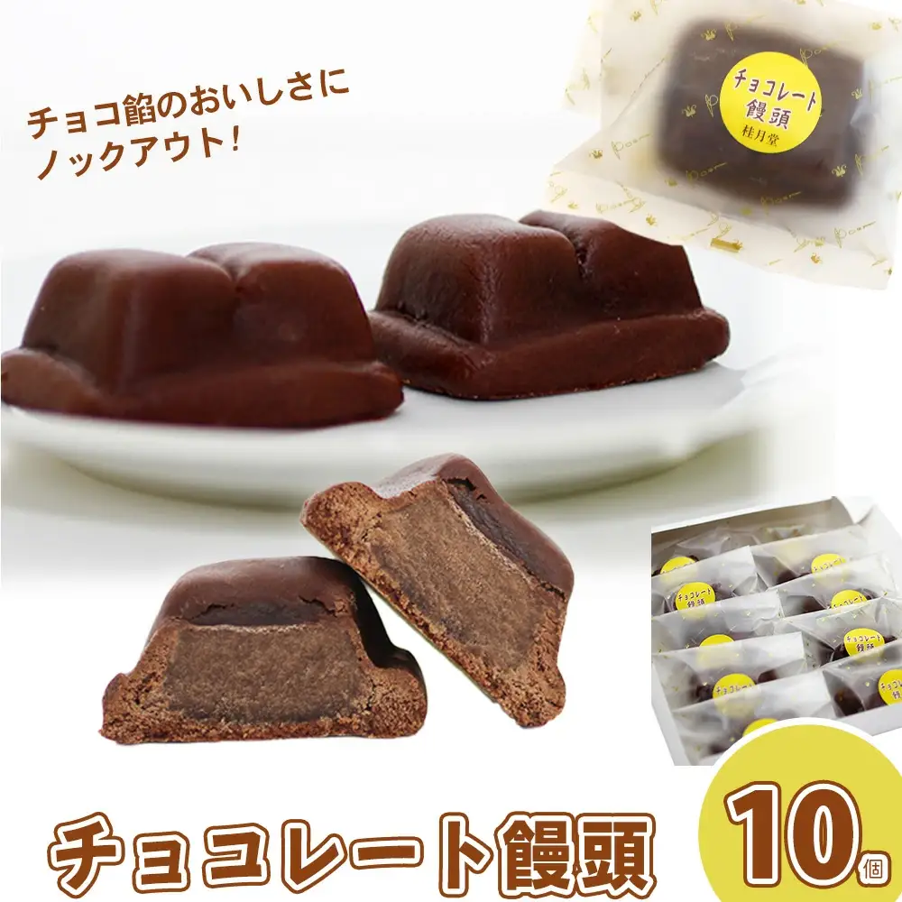 ＜山田桂月堂＞チョコレート饅頭　10個入り　40P5614