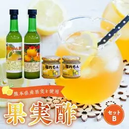 果実酢セットB _U34-0008_1